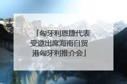 匈牙利恩捷代表受邀出席海南自贸港匈牙利推介会