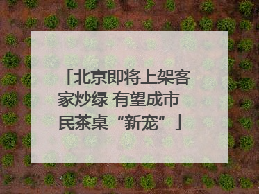 北京即将上架客家炒绿 有望成市民茶桌“新宠”
