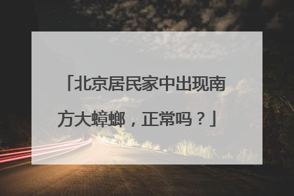 北京居民家中出现南方大蟑螂，正常吗？