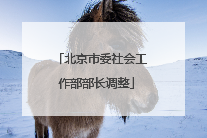 北京市委社会工作部部长调整