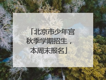 北京市少年宫秋季学期招生，本周末报名