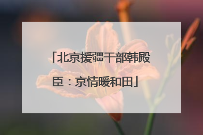 北京援疆干部韩殿臣：京情暖和田