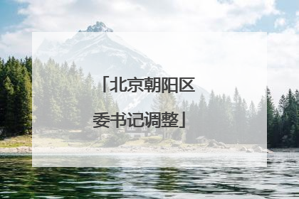 北京朝阳区委书记调整