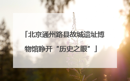 北京通州路县故城遗址博物馆睁开“历史之眼”