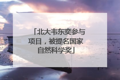 北大韦东奕参与项目，被提名国家自然科学奖