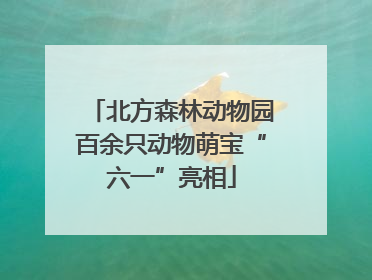 北方森林动物园百余只动物萌宝“六一”亮相
