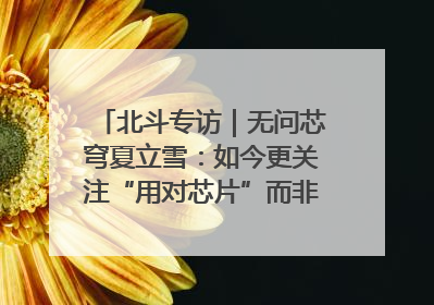 北斗专访｜无问芯穹夏立雪：如今更关注“用对芯片”而非“用贵芯片”