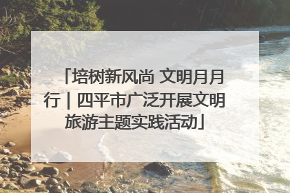 培树新风尚 文明月月行｜四平市广泛开展文明旅游主题实践活动