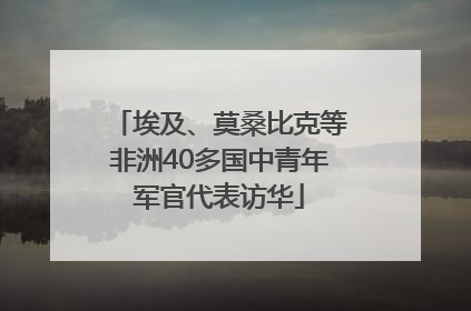 埃及、莫桑比克等非洲40多国中青年军官代表访华