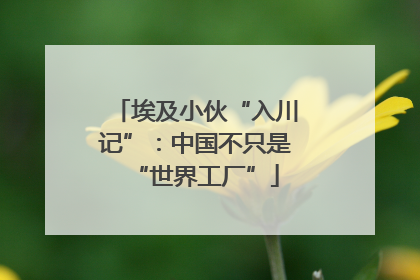 埃及小伙“入川记”：中国不只是“世界工厂”