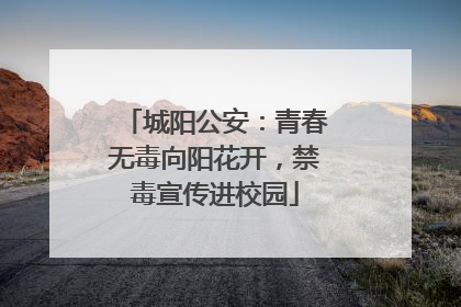 城阳公安：青春无毒向阳花开，禁毒宣传进校园