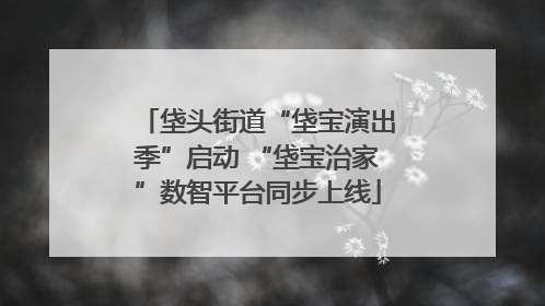 垡头街道“垡宝演出季”启动 “垡宝治家”数智平台同步上线