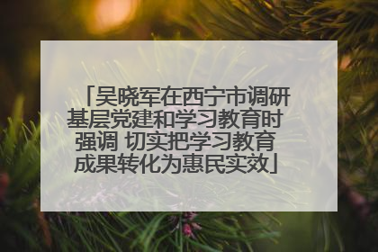 吴晓军在西宁市调研基层党建和学习教育时强调 切实把学习教育成果转化为惠民实效