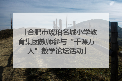 合肥市琥珀名城小学教育集团教师参与“千课万人”数学论坛活动