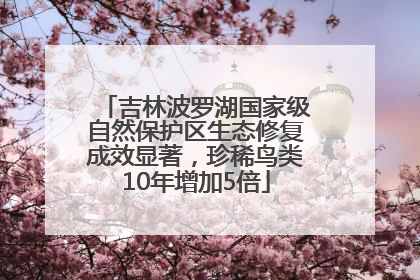 吉林波罗湖国家级自然保护区生态修复成效显著，珍稀鸟类10年增加5倍
