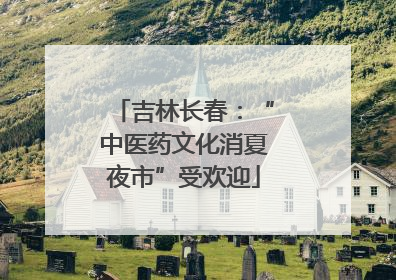 吉林长春：“中医药文化消夏夜市”受欢迎