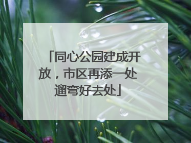 同心公园建成开放，市区再添一处遛弯好去处