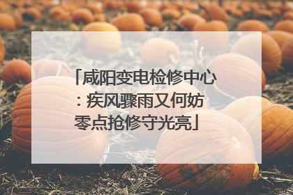 咸阳变电检修中心：疾风骤雨又何妨 零点抢修守光亮