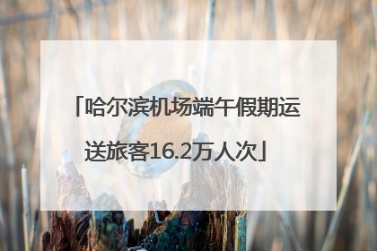 哈尔滨机场端午假期运送旅客16.2万人次