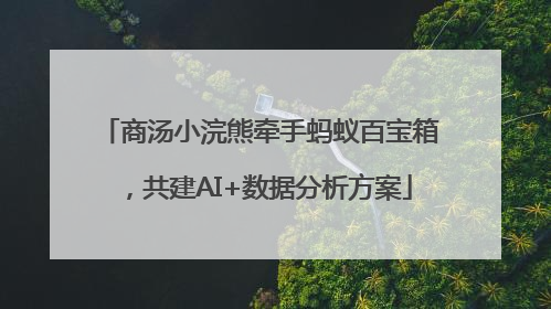 商汤小浣熊牵手蚂蚁百宝箱，共建AI+数据分析方案