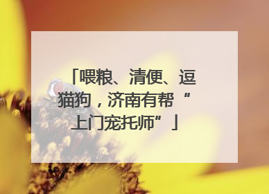 喂粮、清便、逗猫狗，济南有帮“上门宠托师”