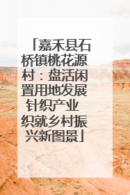 嘉禾县石桥镇桃花源村：盘活闲置用地发展针织产业 织就乡村振兴新图景