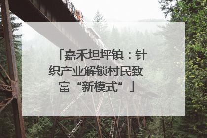 嘉禾坦坪镇：针织产业解锁村民致富“新模式”
