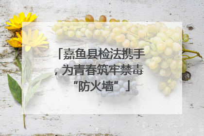 嘉鱼县检法携手，为青春筑牢禁毒“防火墙”
