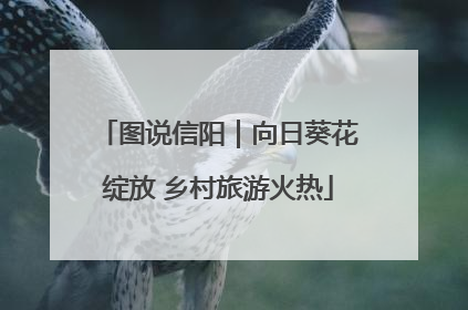图说信阳｜向日葵花绽放 乡村旅游火热