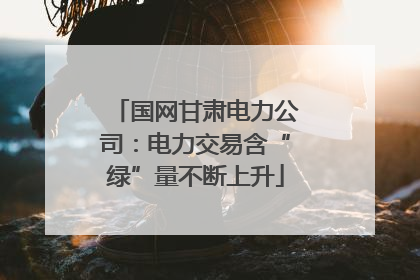 国网甘肃电力公司：电力交易含“绿”量不断上升