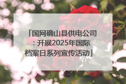 国网确山县供电公司：开展2025年国际档案日系列宣传活动