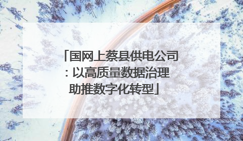 国网上蔡县供电公司:以高质量数据治理 助推数字化转型