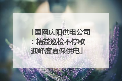 国网庆阳供电公司：精益巡检不停歇 迎峰度夏保供电