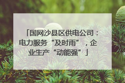 国网沙县区供电公司：电力服务“及时雨”，企业生产“动能强”