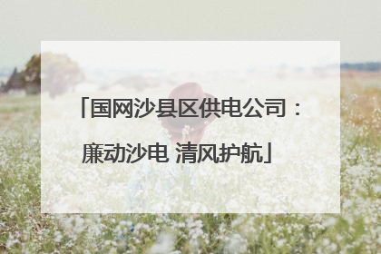 国网沙县区供电公司：廉动沙电 清风护航