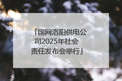 国网洛阳供电公司2025年社会责任发布会举行