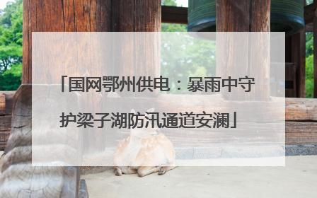 国网鄂州供电：暴雨中守护梁子湖防汛通道安澜