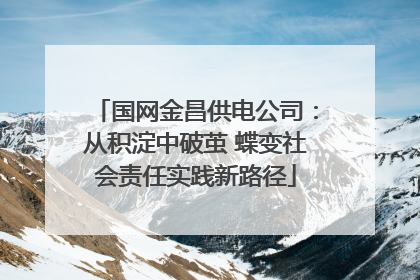 国网金昌供电公司：从积淀中破茧 蝶变社会责任实践新路径