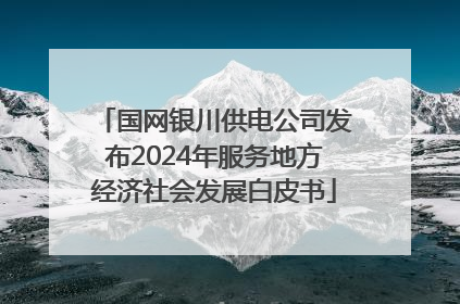 国网银川供电公司发布2024年服务地方经济社会发展白皮书