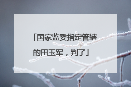 国家监委指定管辖的田玉军，判了
