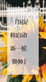 国足将启动新一轮换帅