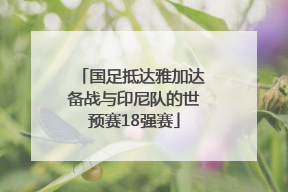 国足抵达雅加达备战与印尼队的世预赛18强赛
