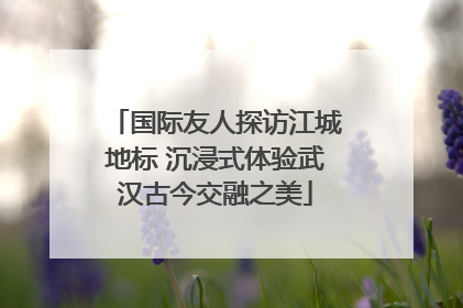 国际友人探访江城地标 沉浸式体验武汉古今交融之美