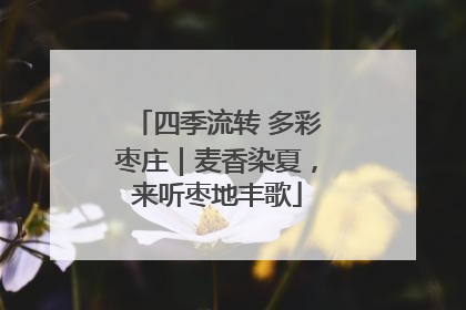 四季流转 多彩枣庄｜麦香染夏，来听枣地丰歌