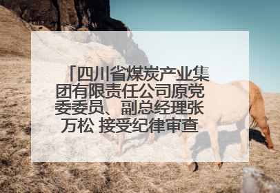 四川省煤炭产业集团有限责任公司原党委委员、副总经理张万松 接受纪律审查和监察调查