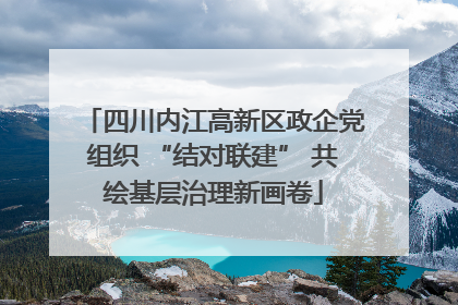 四川内江高新区政企党组织 “结对联建” 共绘基层治理新画卷
