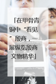 在甲骨青铜中“看见”殷商，一展纵览殷商文物精华