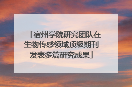 宿州学院研究团队在生物传感领域顶级期刊发表多篇研究成果