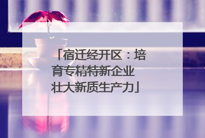 宿迁经开区：培育专精特新企业 壮大新质生产力