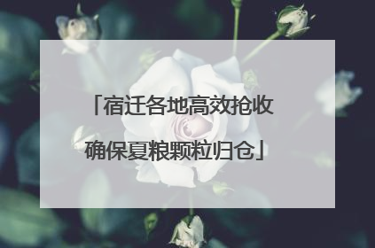 宿迁各地高效抢收 确保夏粮颗粒归仓